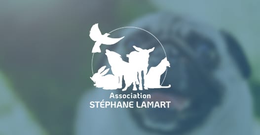 Association-Stephane-Lamart